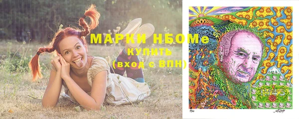 дмт Алзамай