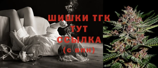 дмт Алзамай