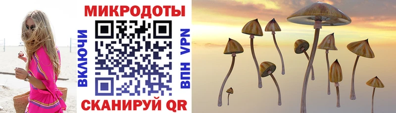 Галлюциногенные грибы Psilocybe  купить закладку  маркетплейс Telegram  Апрелевка 